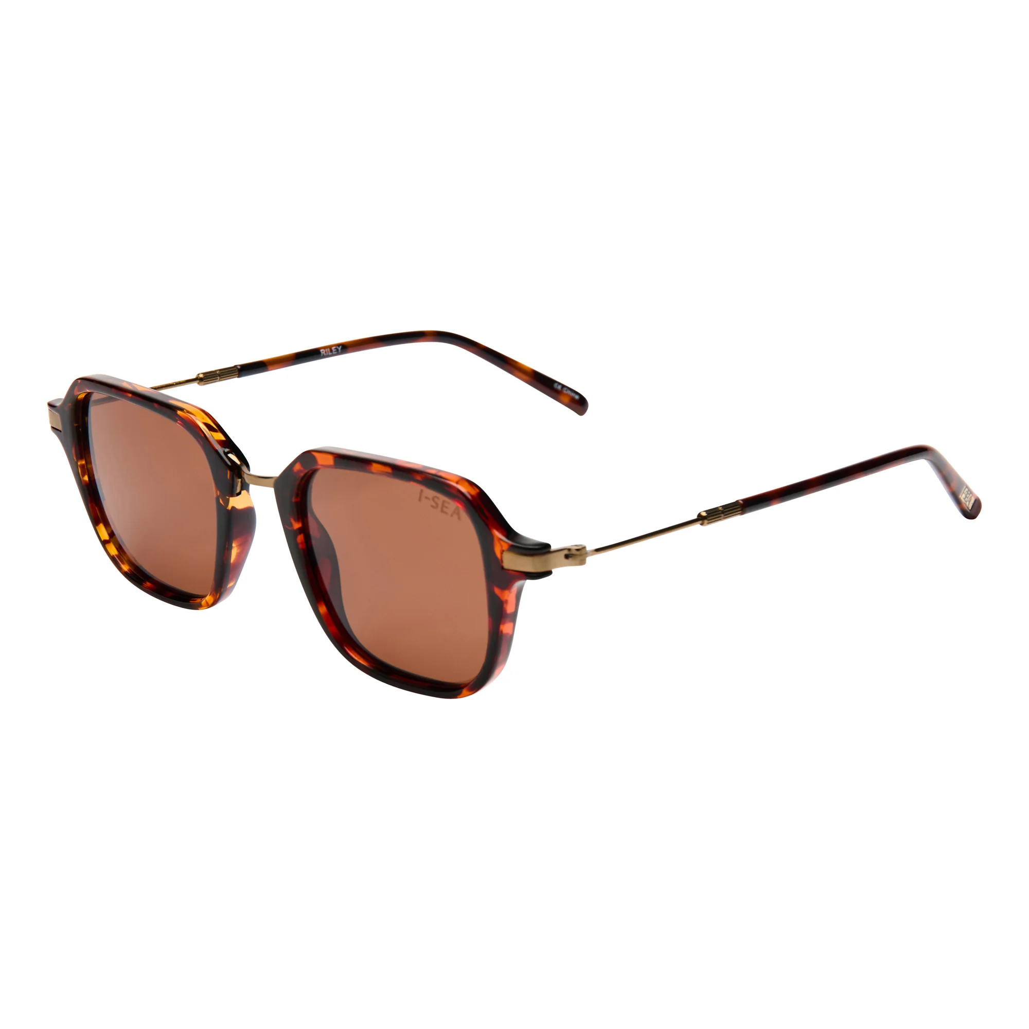 RILEY - Image 15