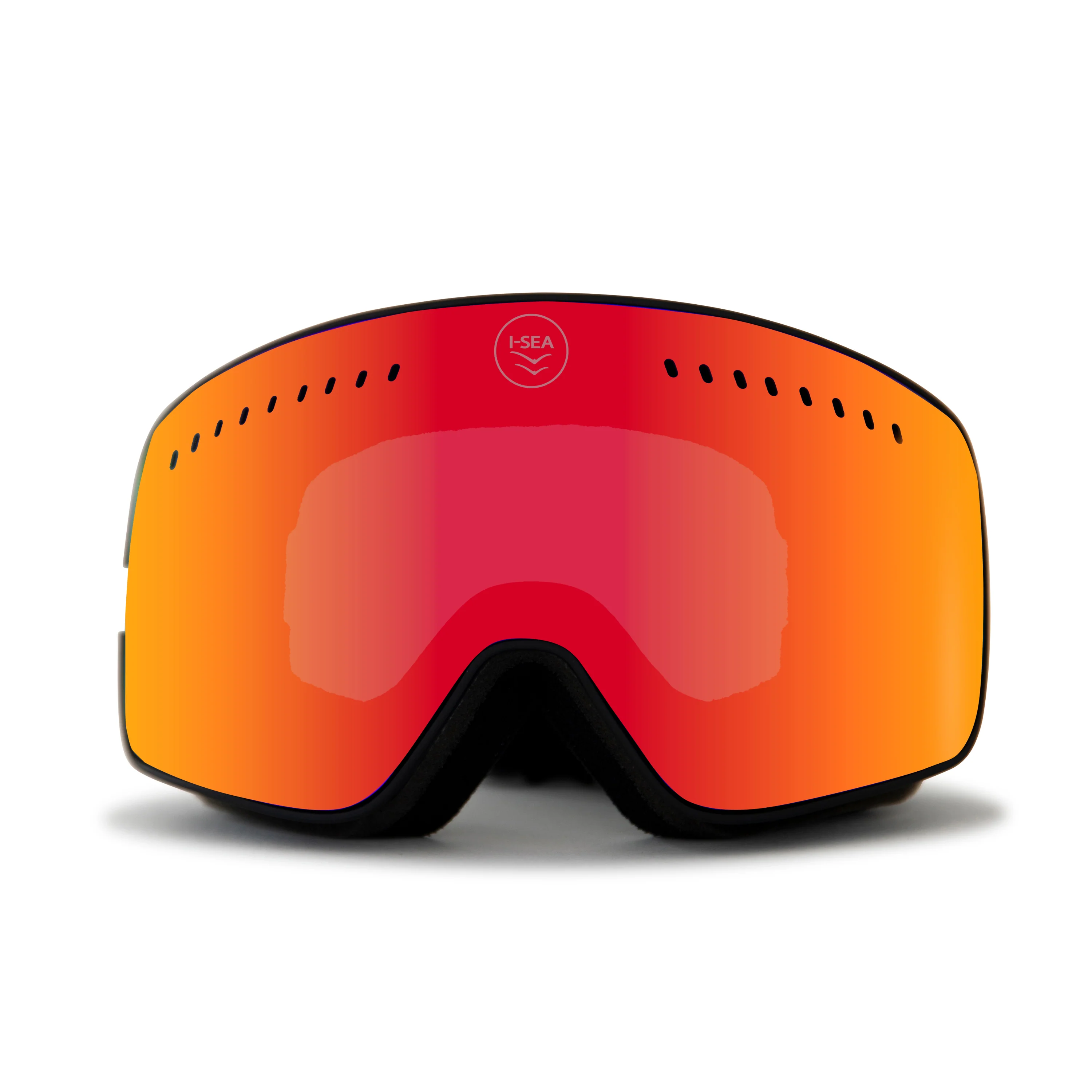 Snowbird - Image 5